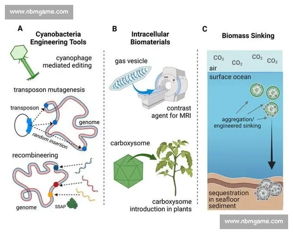 以共创为引擎的团队成长路径与持续进化实践蓝图与文化建设新范式