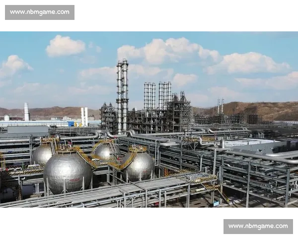 以商业伙伴为中心共赢生态驱动企业长期高质量发展新路径探索实践